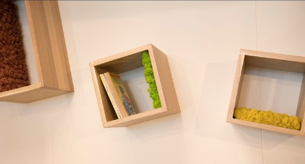 Librero Proyecto25 en madera y liquen estabilizado